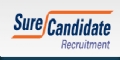 sure candidate IT Jobs Dublin Ireland IT Jobs it j
