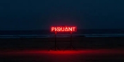 Piquant